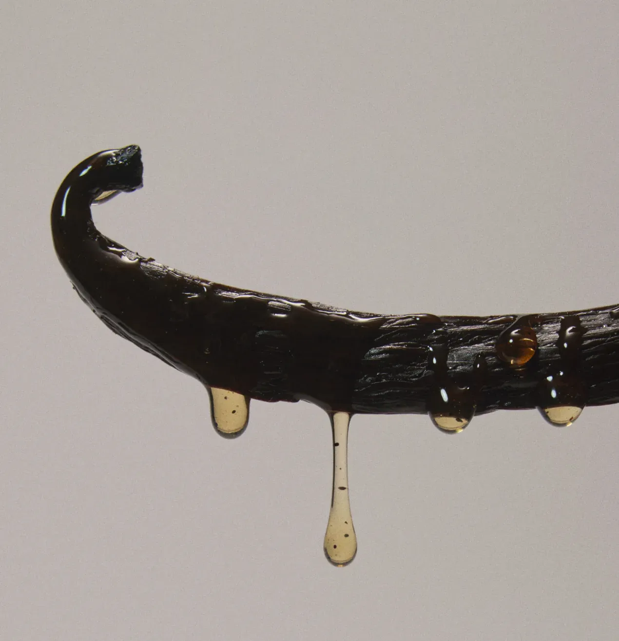 Vanilla bean with Sappy syrup dripping