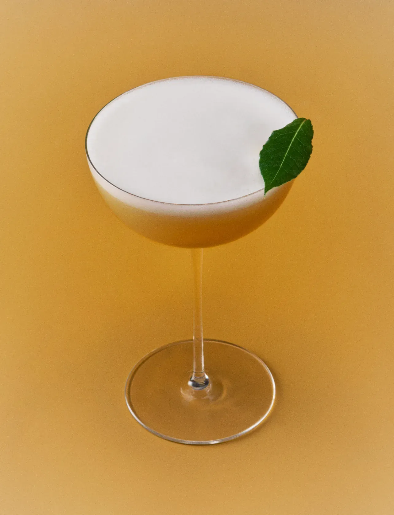 Amber cocktail with a leaf garnish